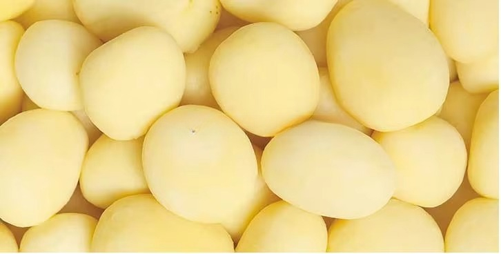 공장에서 직접 판매하는 자동 상업용 감자 껍질 벗기는  - Commercial Potato Peeler Machine 리뷰 및 가격