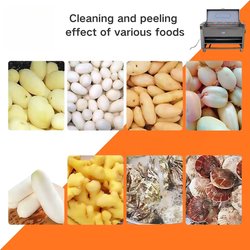 자동 다기능 감자 껍질 벗기는 기계, 상업용 채소 세척 - Commercial Potato Peeler Machine 리뷰 및 가격